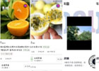 互联网风口思维，抢占本地市场的赚钱项目